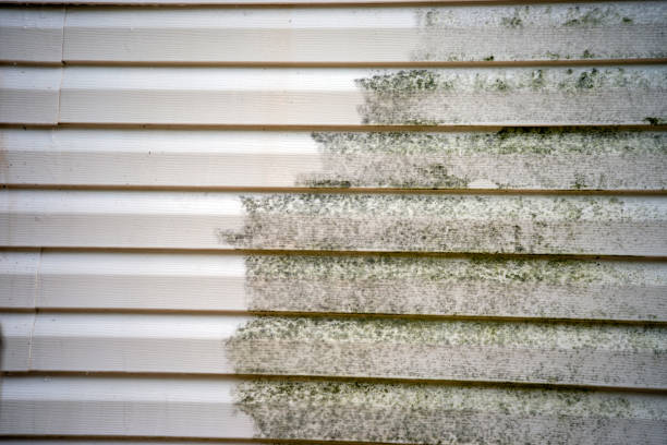 Best Custom Siding Design  in Woodhaven, MI